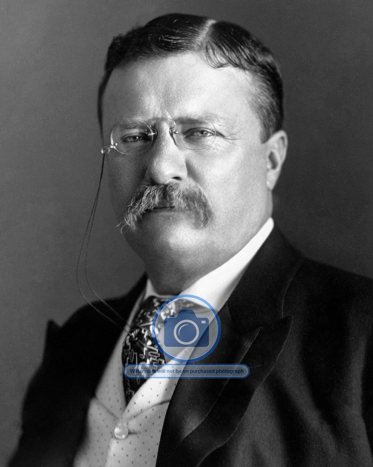 PRESIDENT THEODORE ROOSEVELT PORTRAIT 8X10 PHOTOGRAPH REPRINT