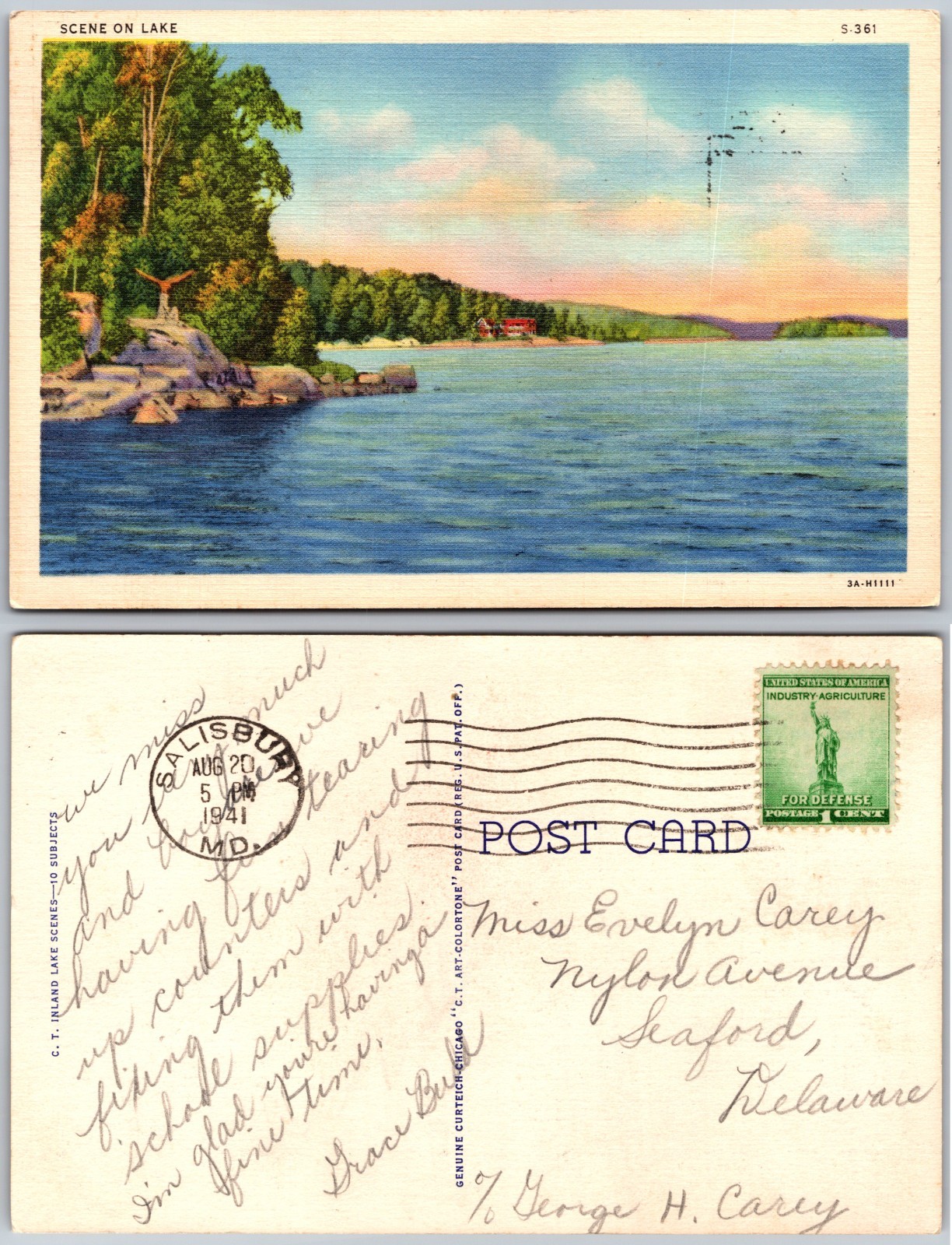 Scene On Lake Shoreline View Postcard