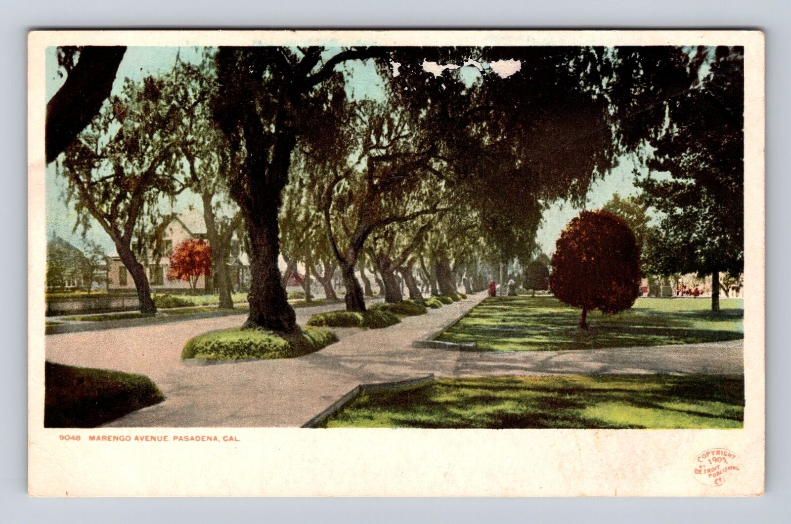 Pasadena CA-California, Marengo Avenue, Residences, Vintage Postcard