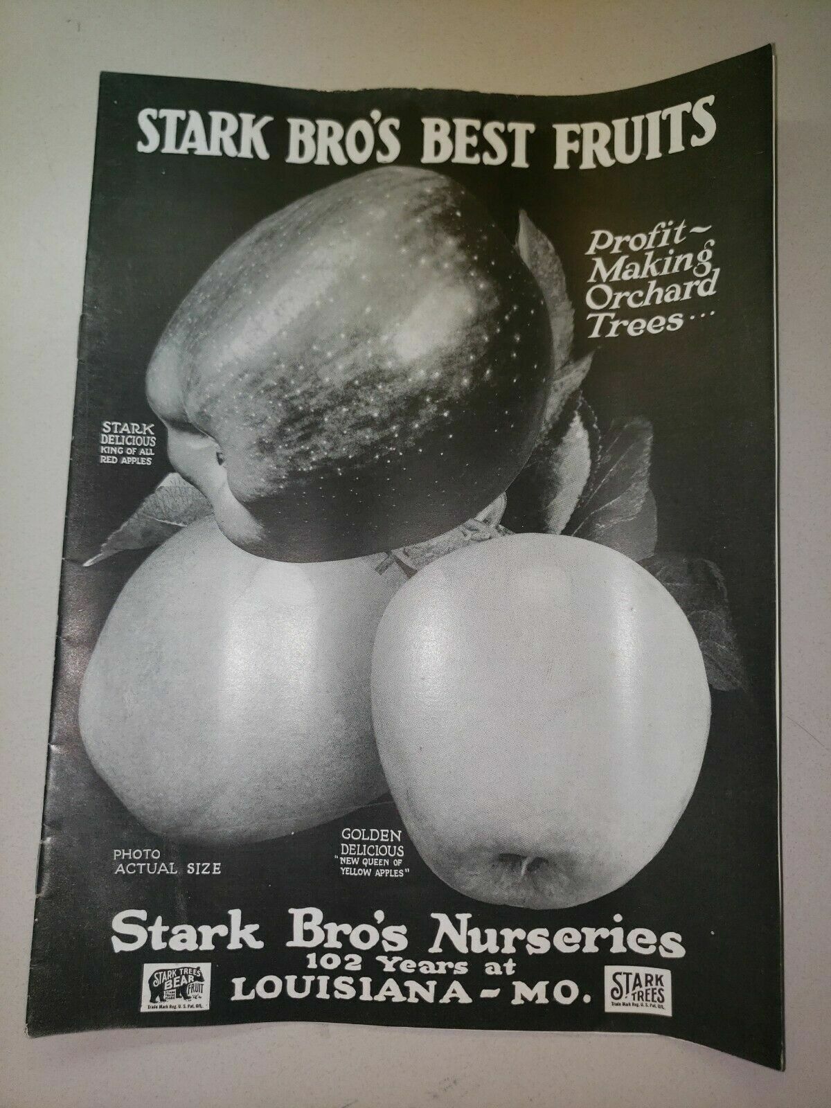 Vintage 1918 Stark Bros Nursery Catalog Book Trees Louisiana Mo NOS WS7C