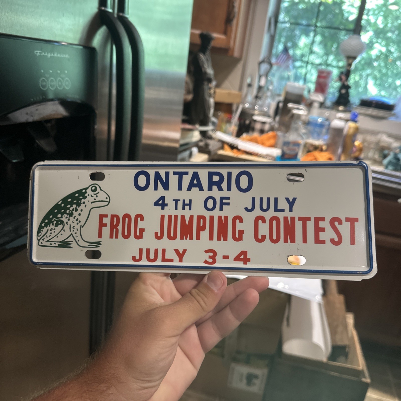 Vintage Ontario Ohio Frog Jumping Contest License Plate USA July 4th