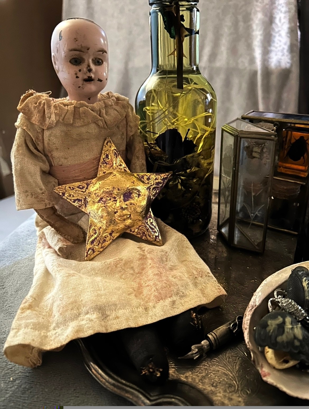 Dark Moody Academia Peculiarities Curio Curiosities Cabinet Oddities Display 1