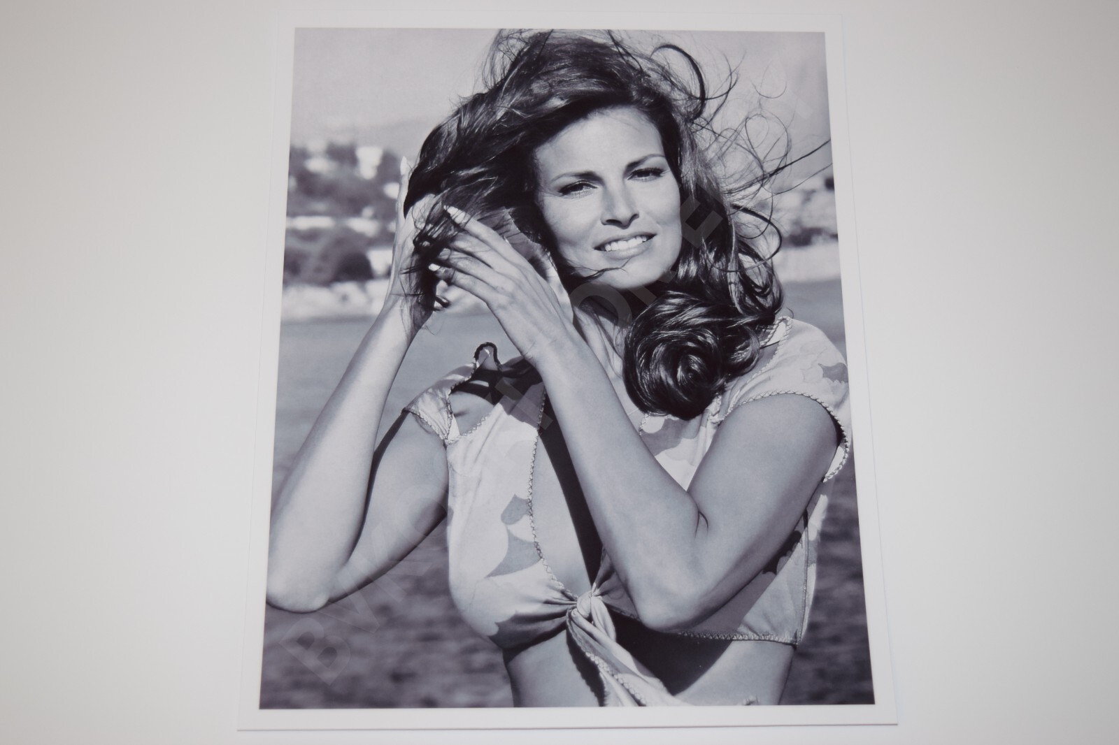 Raquel Welch pinup 8x10 glossy photo Busty Sexy Gorgeous Cleavage 0128