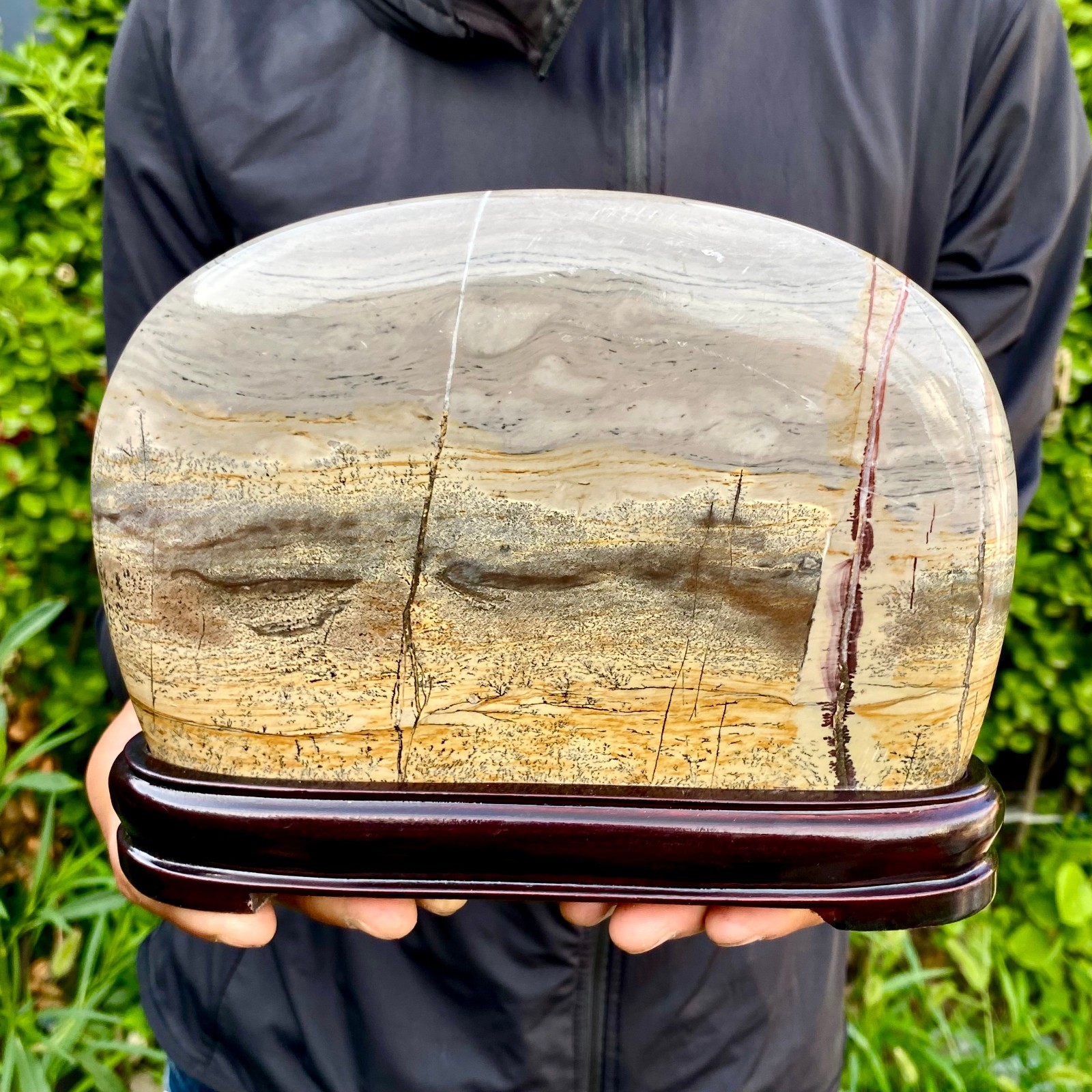 4.29LB Beautiful Natural Chinese Dendritic Limestone Picture Stone Guohua -Rare