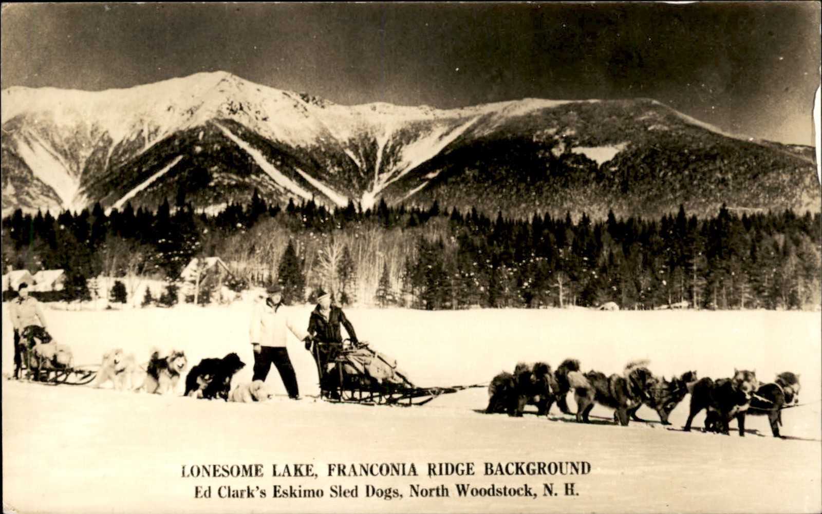 North Woodstock NH Sled Dogs c1920s-30s Real Photo Vintage Postcard bhn