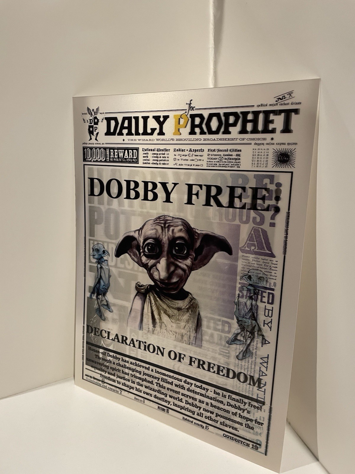 Harry Potter Dobby Daily Prophet 3D Changing Holographic Lenticular Poster