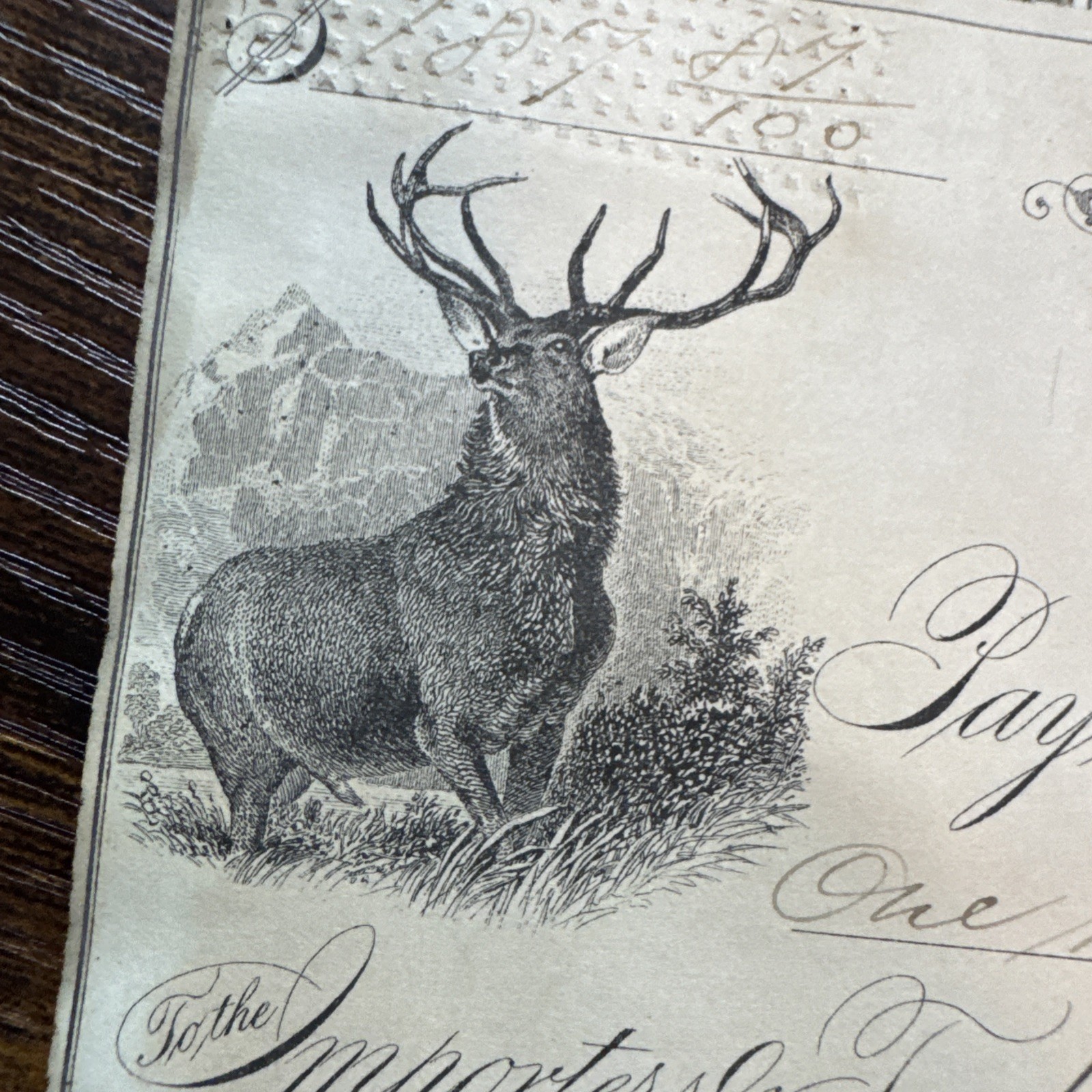 1 Gorgeous Antique Check 1882 Bethlehem Wild Buck 11 Point