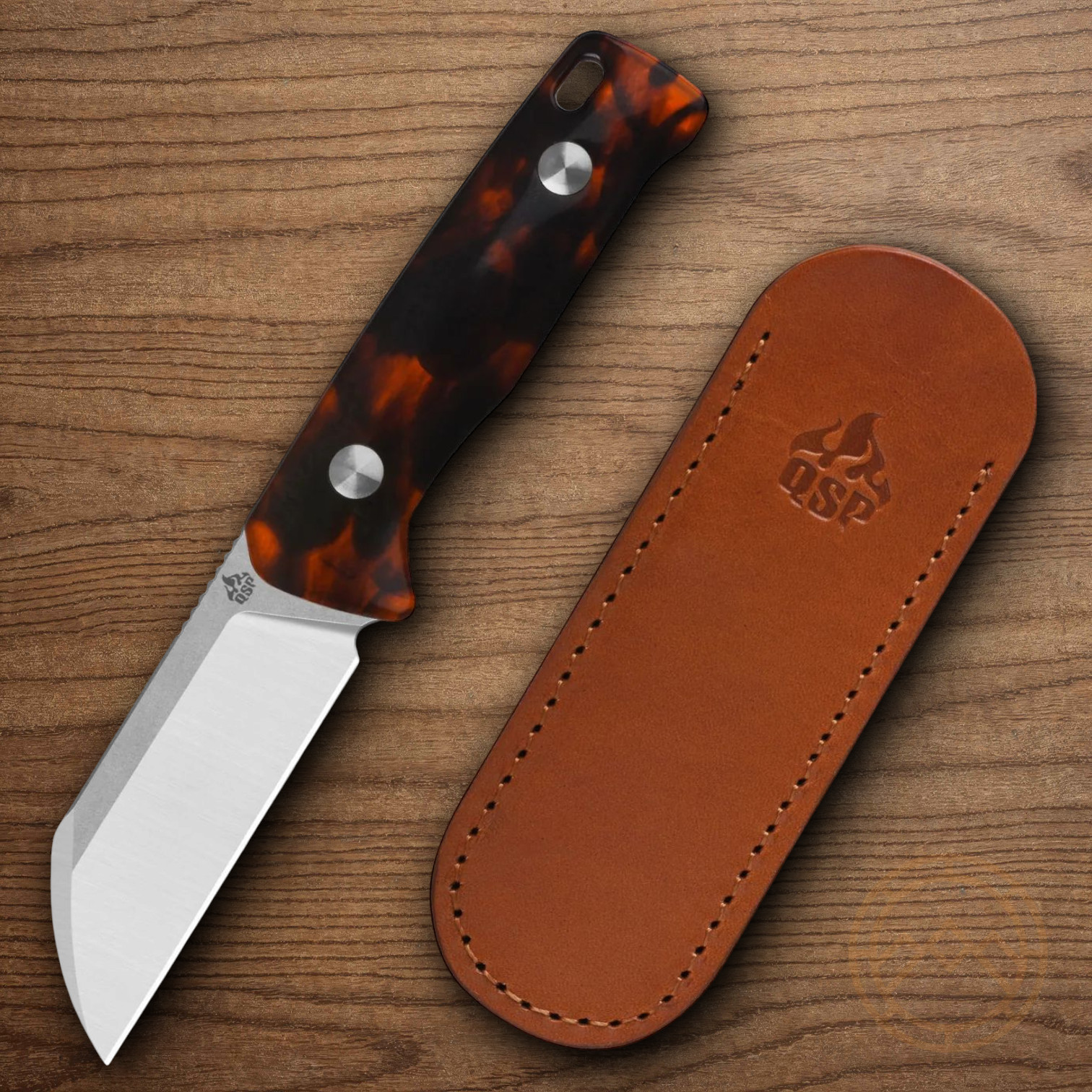 QSP Knife Baby Penguin Fixed Knife 2.5\