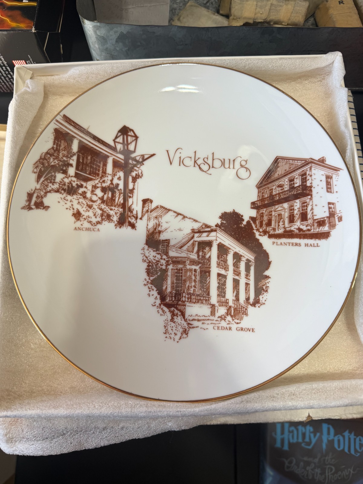Vintage Vicksburg MS Souvenir Collector Plate Anchuca Cedar Grove Planters Hall