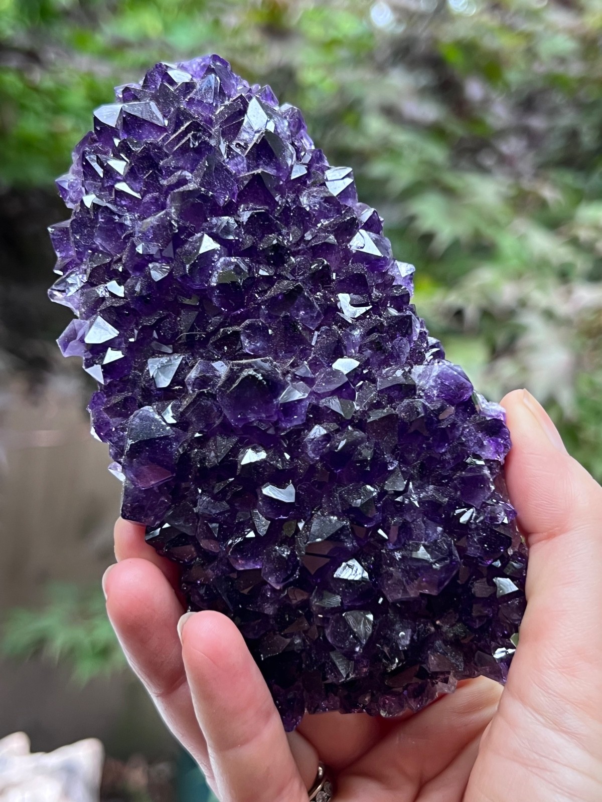 Amethyst Rosette Deep Purple Cluster Uruguayan 683g 10 AAA+ Deep Purple