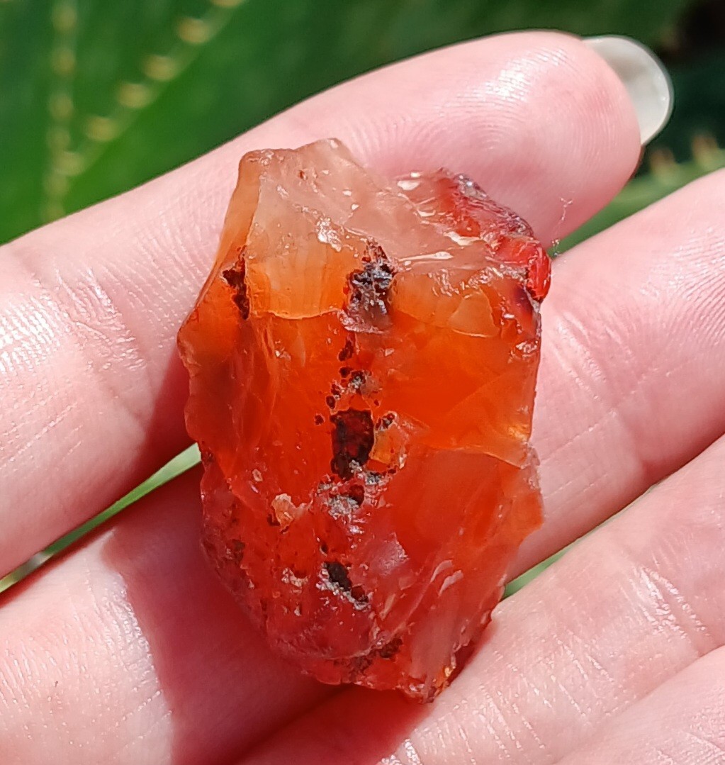 16g Natural Raw Carnelian Agate Freeform Nugget