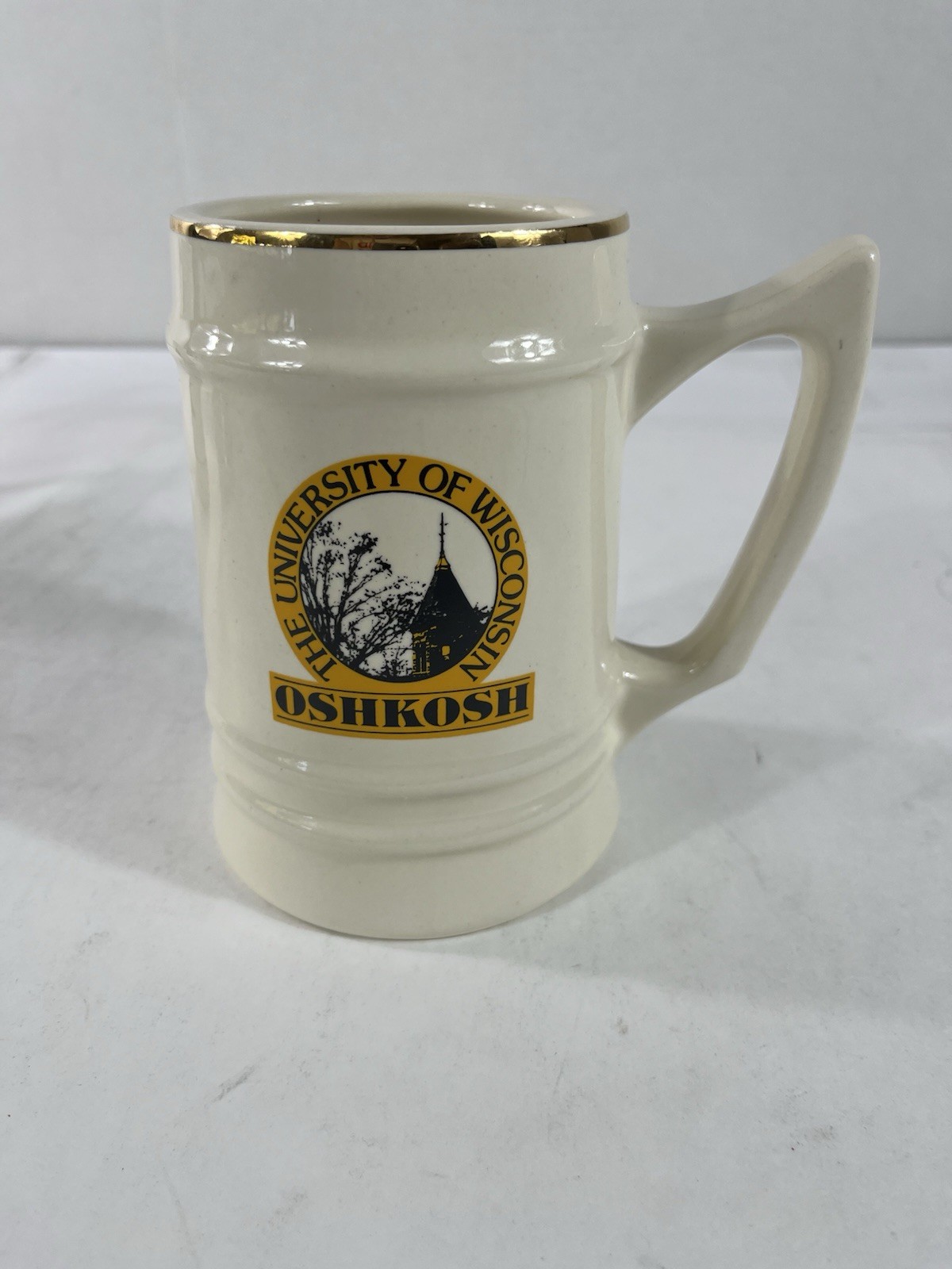 Vintage University of  Wisconsin Beer Mug Stein