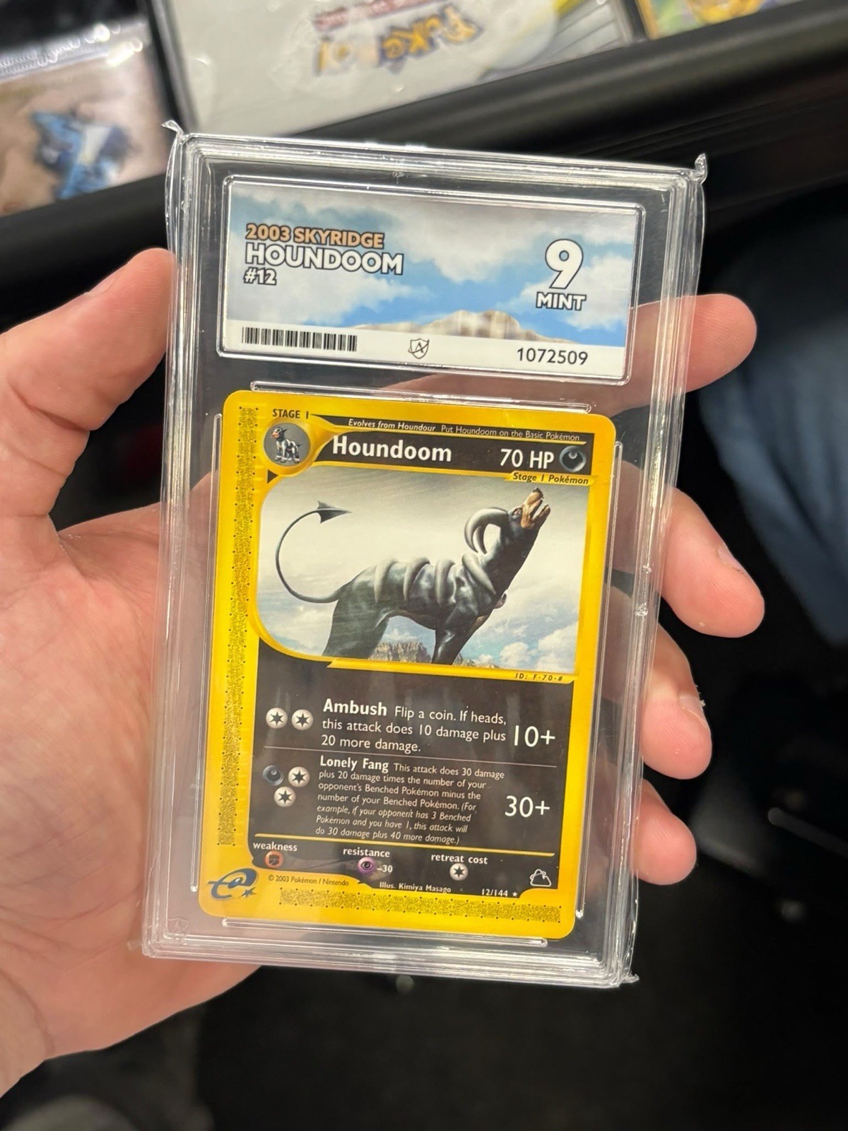 Pokemon Houndoom 2003 SKYRIDGE #12/144 ACE 9 (not PSA)