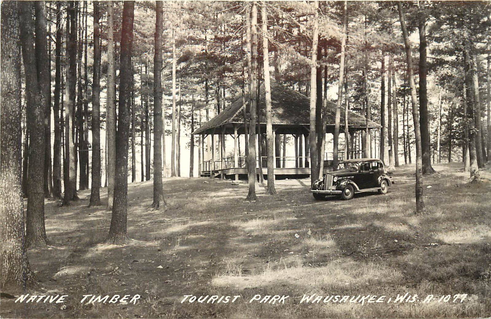 RPPC; Native Timber, Tourist Park, Wausaukee WI A-1077 Marinette County Unposted