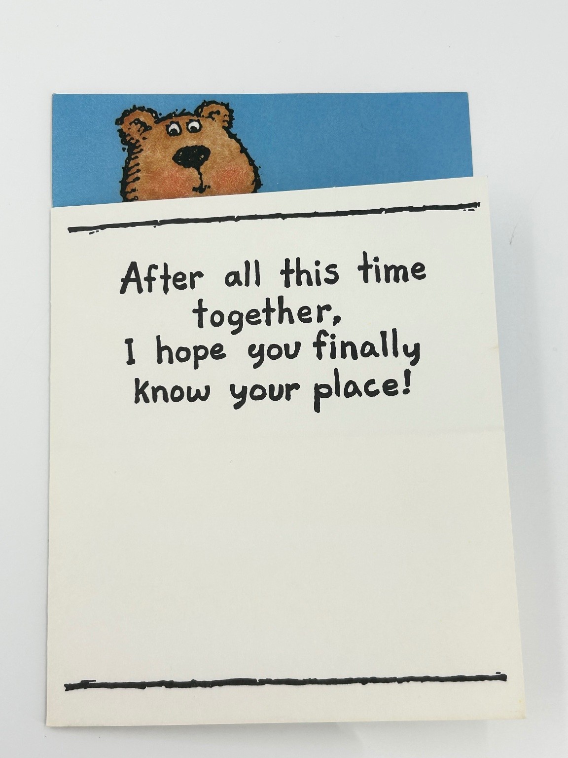 Vintage Shoebox Greetings Bear Funny Anniversary Card Hallmark 