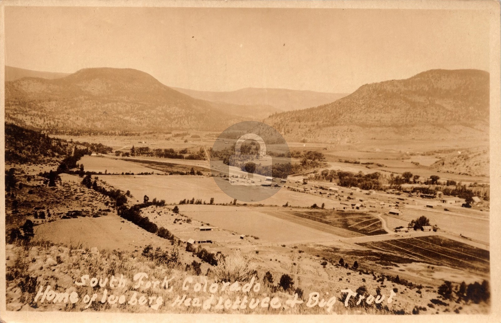 South Fork CO Colorado Birds-Eye View 1927 RPPC Photo Postcard COPY