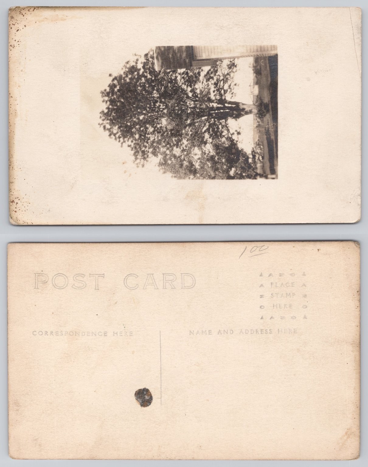 Vintage RPPC Postcard Large Tree & Rural Building Real Photo Unposted