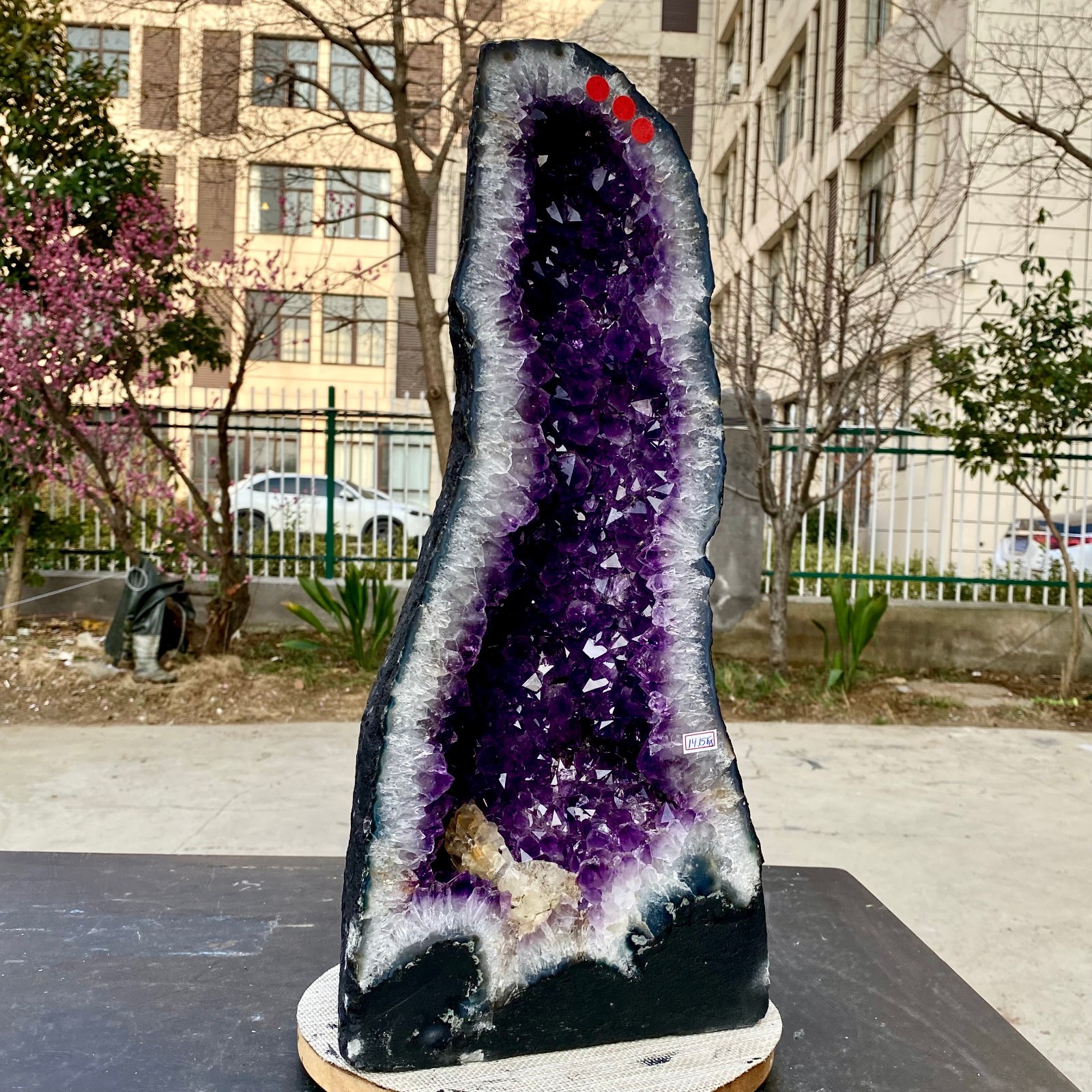 31LB Natural Amethyst Cathedral English Cluster Crystal Specimen Healing