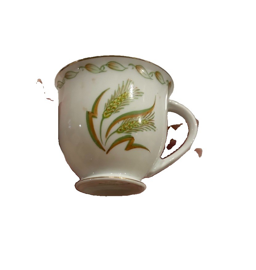 UCAgco Vintage Made In Occupied Japan Teacup