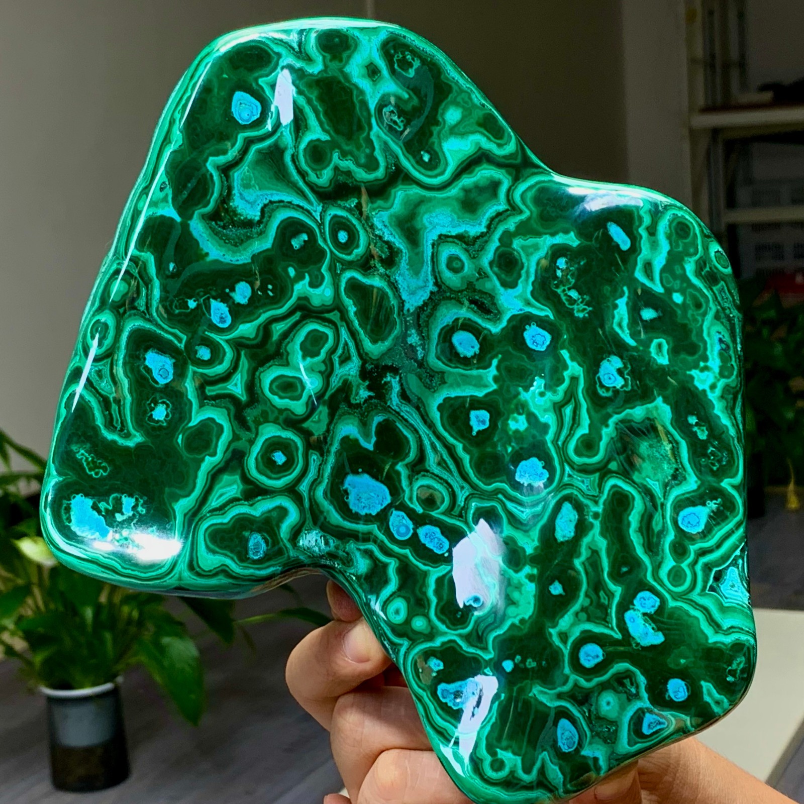 3.79LB Natural glossy Malachite transparent crystal rough mineral sample healing
