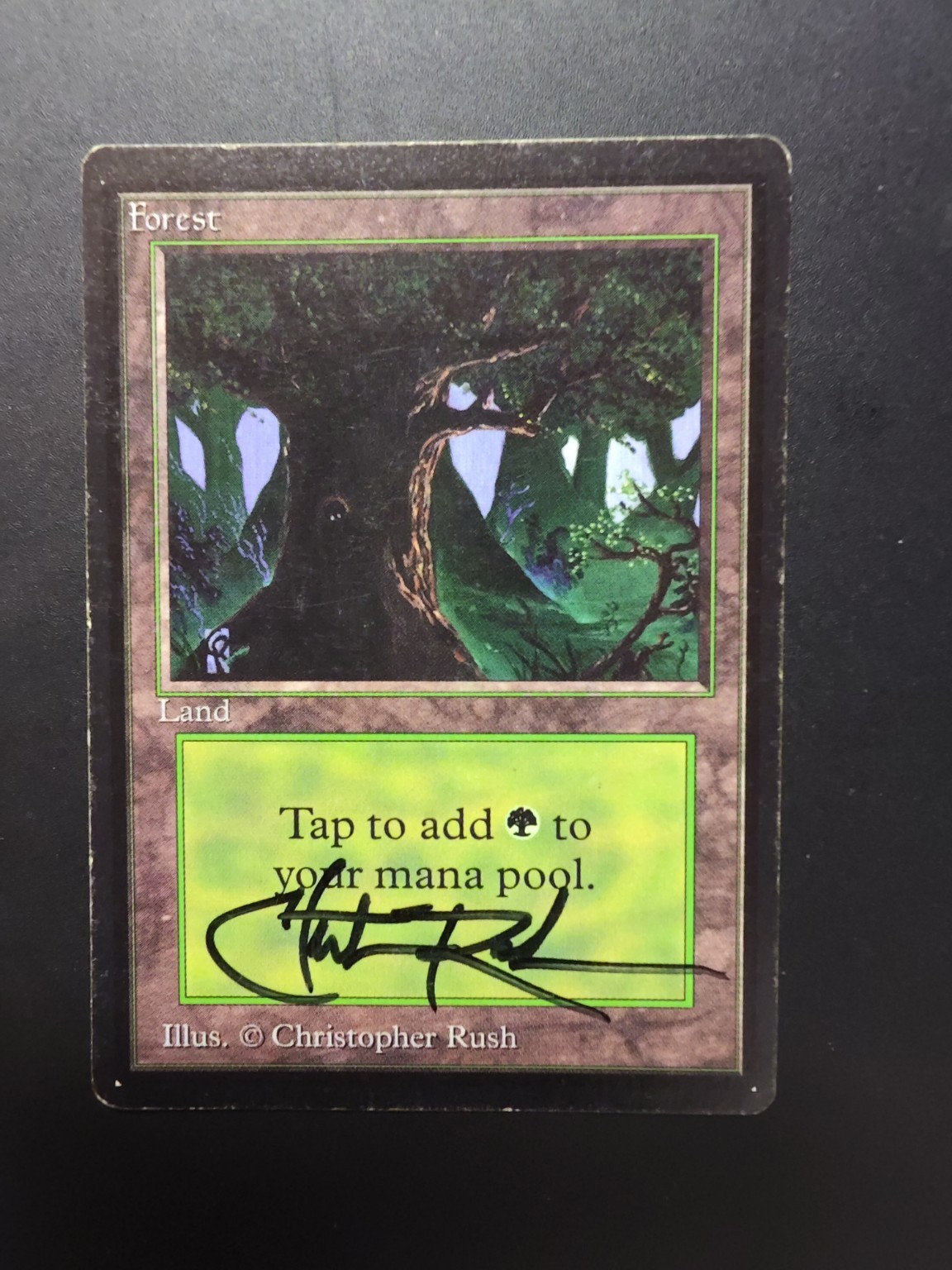 MTG Beta Forest 1993 Christopher Rush Signed Autograph Magic The Gathering