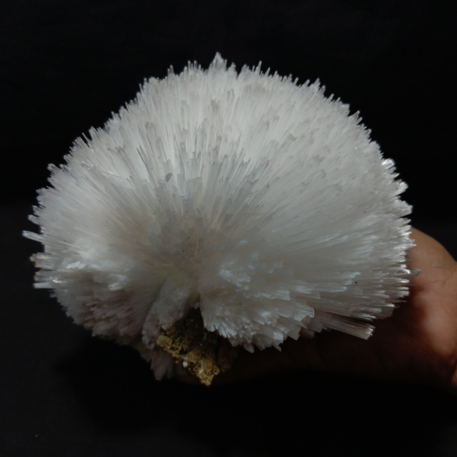 Shimmering And Glassy mineral Specimen Of SCOLECITE 132 
