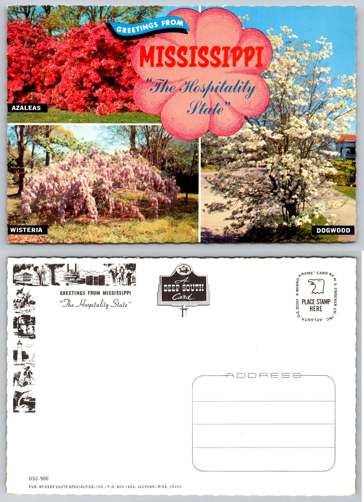 Continental Greetings from Mississippi The Hospitality Large Letter Postcard