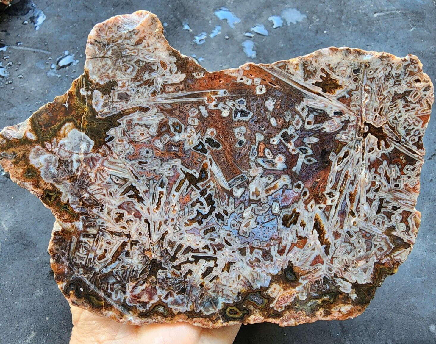 4.57 lbs (2.07 kg) Natural Agate Display, Agate Slab, Agate Decor, Agate Slice