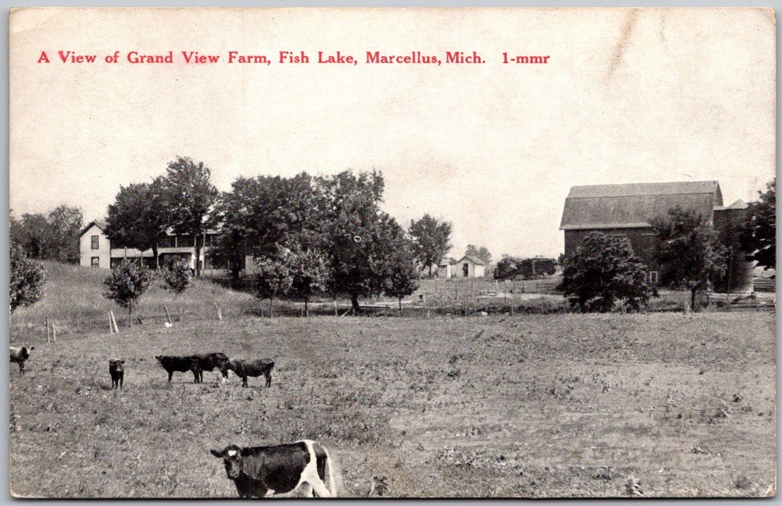 Antique 1920\'s Postcard View From Grand View Farm, Fish Lake, Marcellus Michigan
