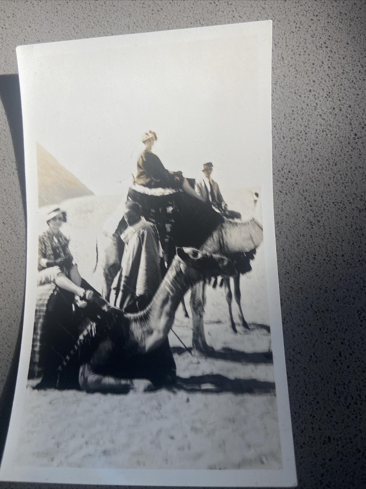 1930’s  Woman Riding Camel Egypt Ancient Pyramid Ruins Africa Real Photo
