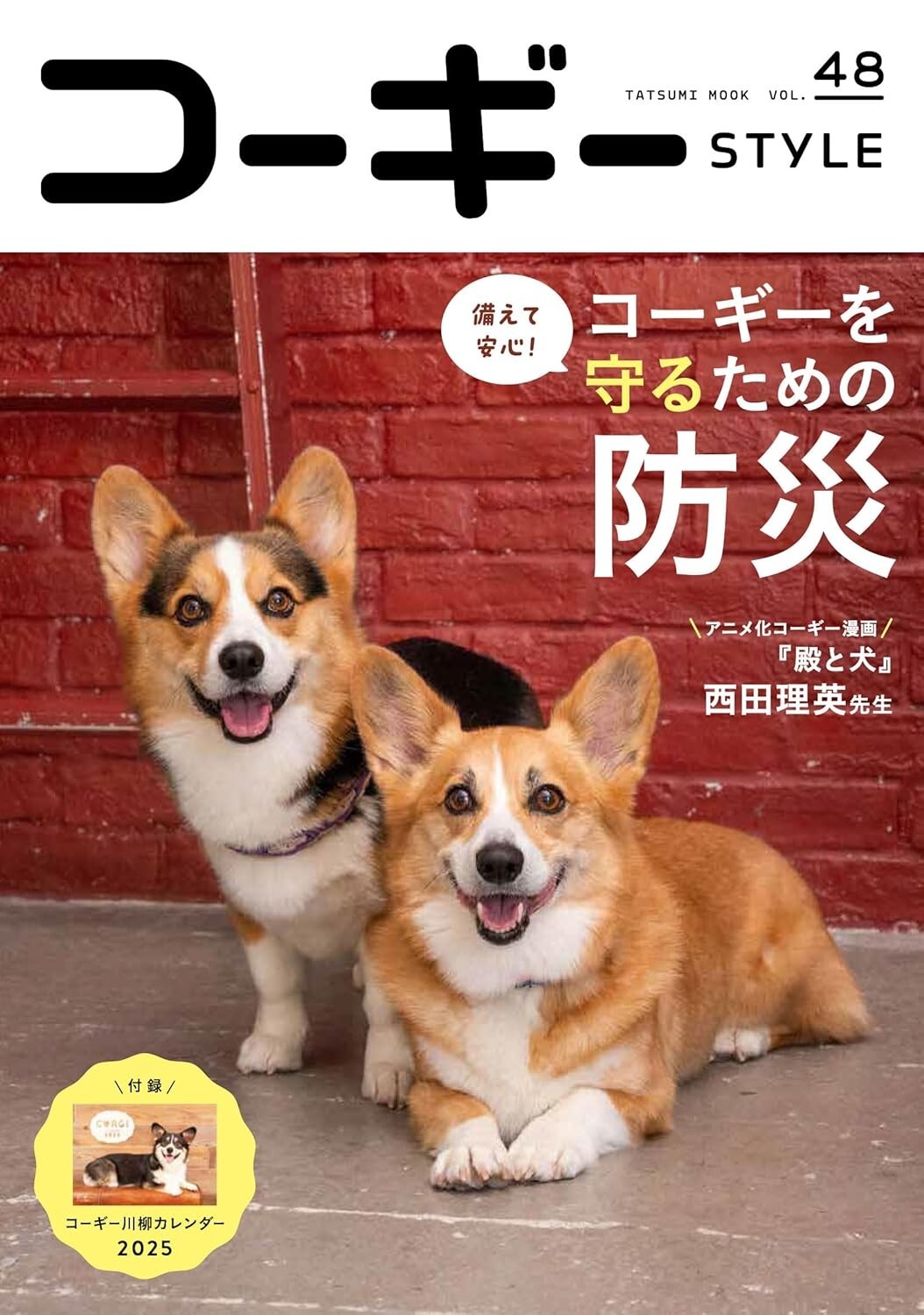 Corgi Style Vol.48 |  Japanese Dog Magazine Japan  grooming Fashion