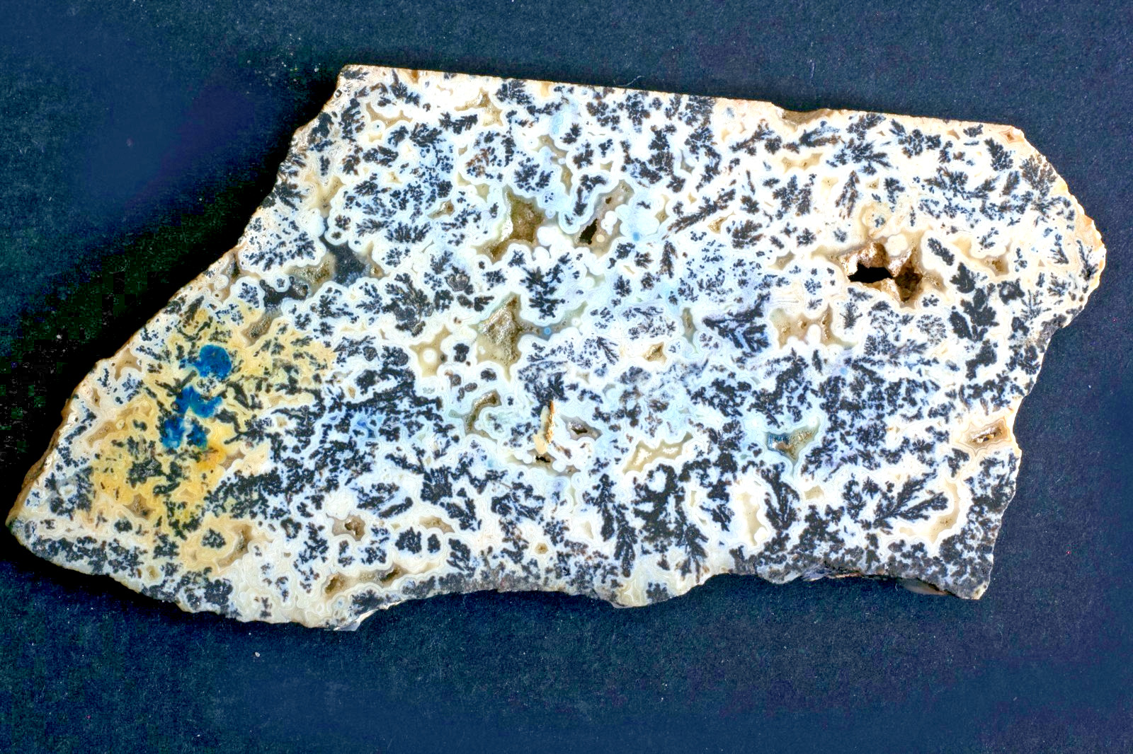 Agate: (var.) Medicine Bow: Wyoming-polished slab
