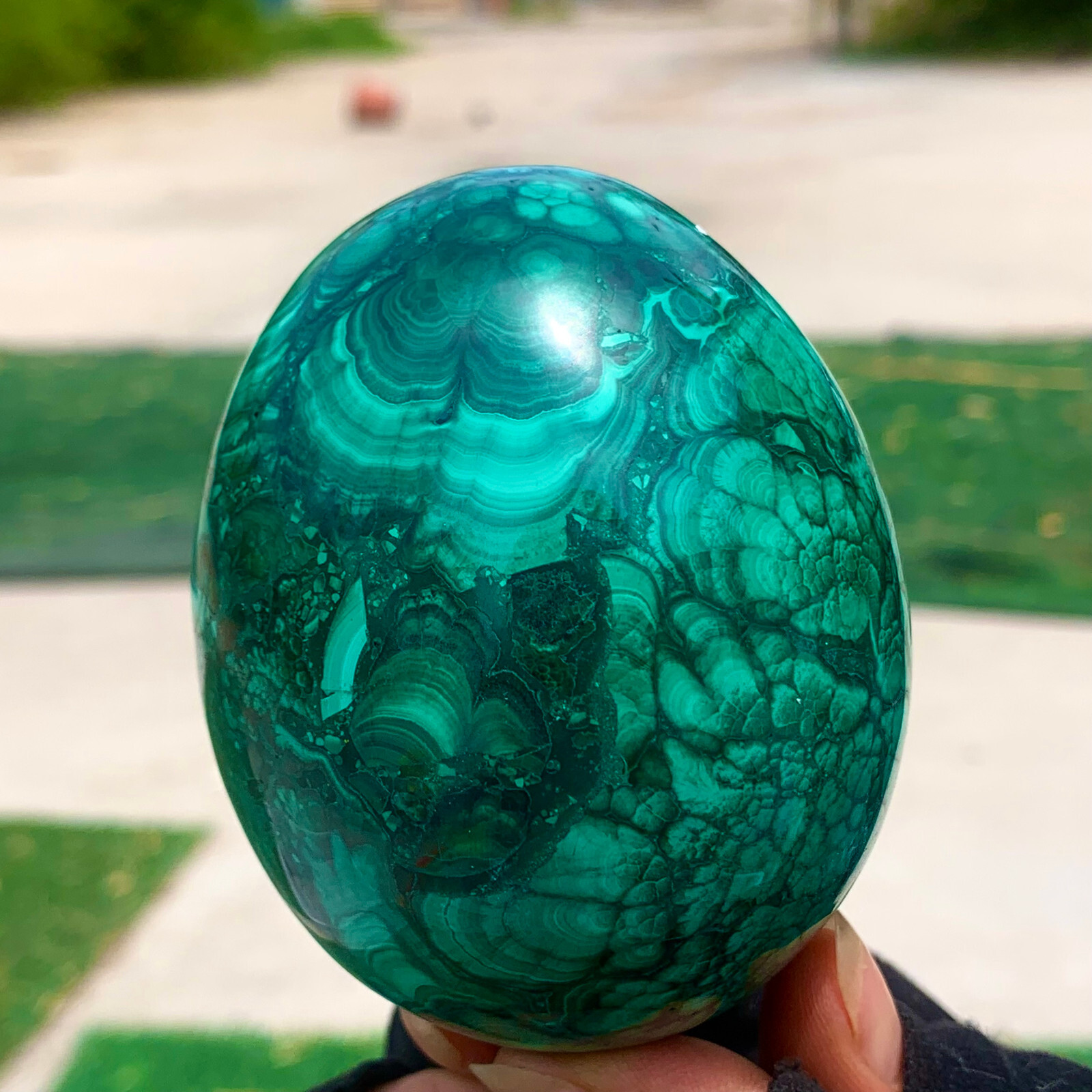 1.43LB Rare Natural Malachite quartz hand Carved egg Crystal Healing