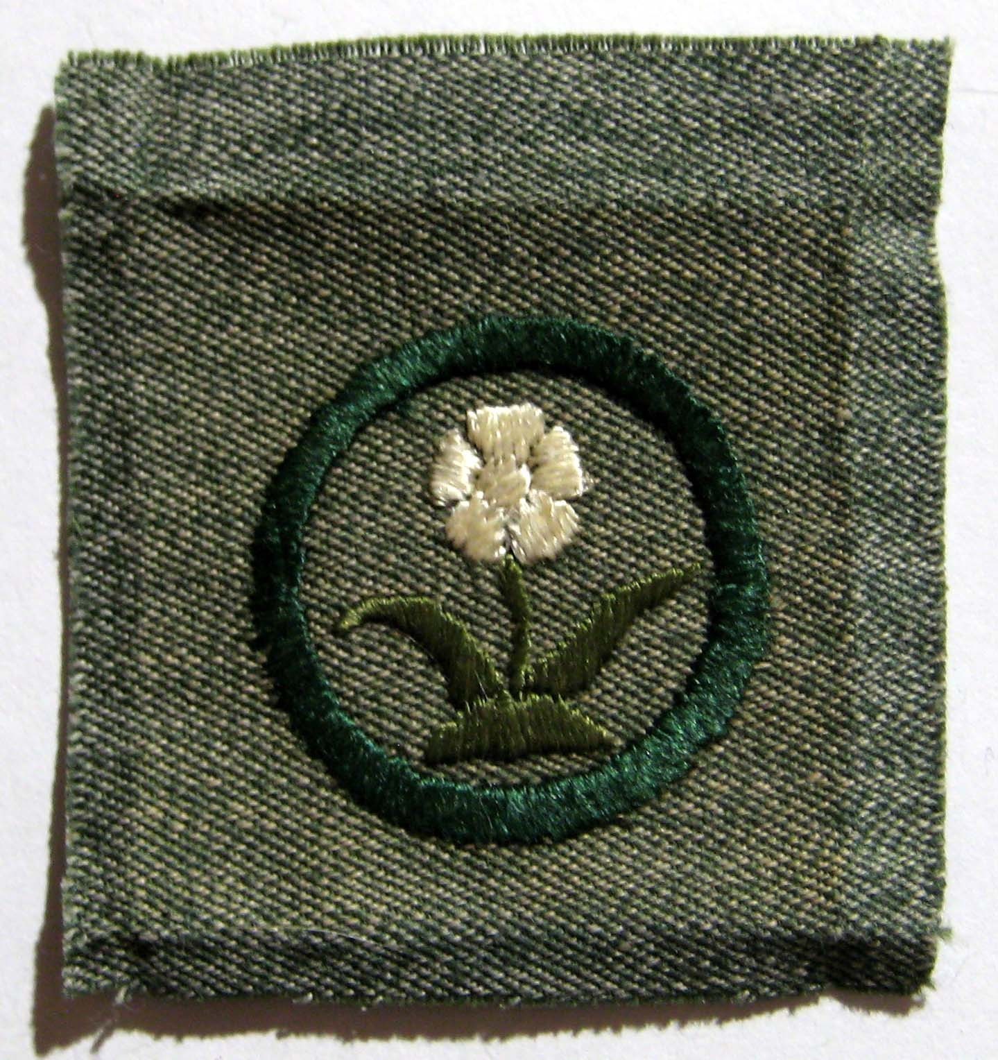 RARE 1928-1933 Girl Scout WILD FLOWER FINDER BADGE White Anemone Patch SQUARE