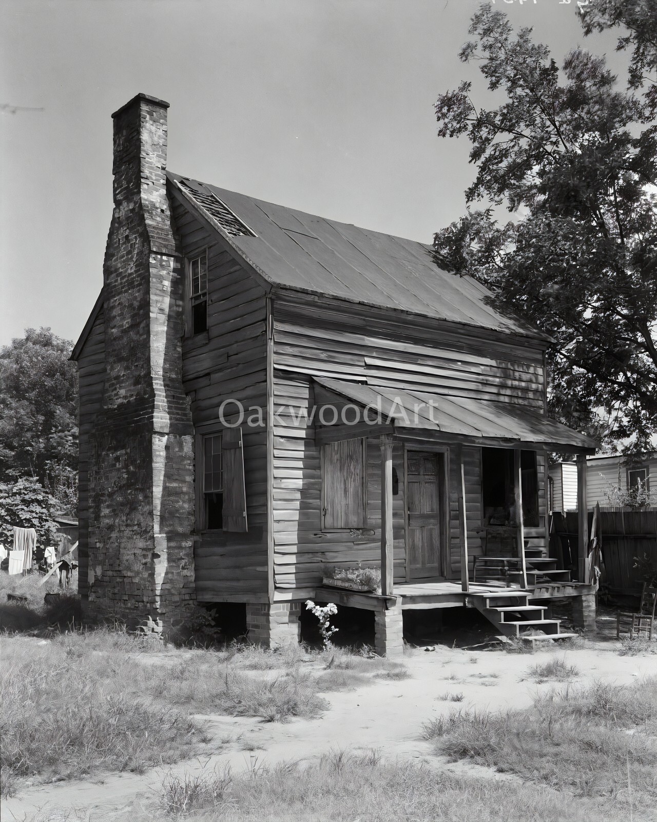 Old Slave Cabin in Georgia, Slavery, Vintage Photo Reprint