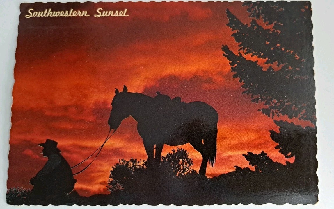 Postcard Western Sunset Cowboy Horse Unposted Continental Size