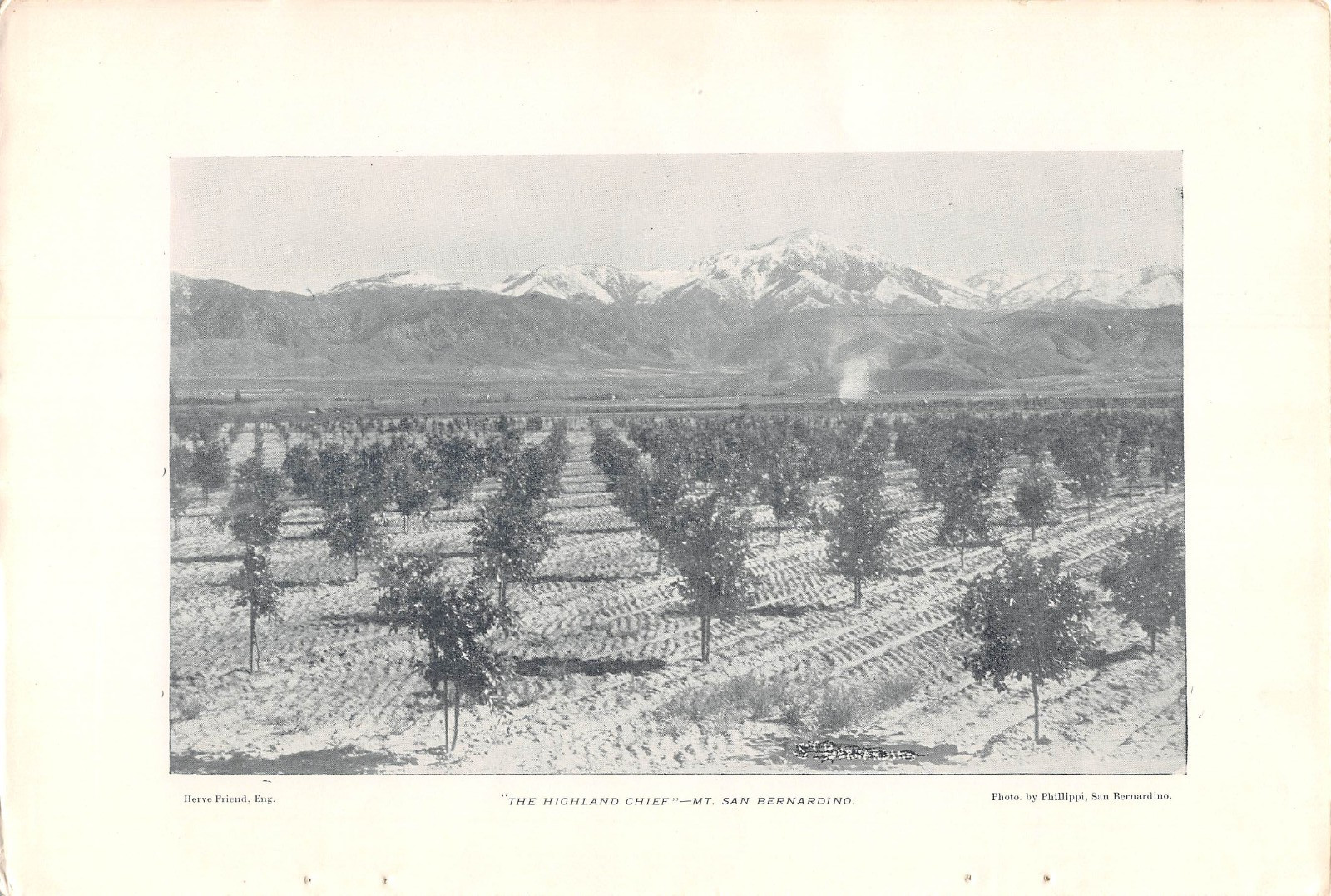 antique 1895 article HIGHLAND CA 