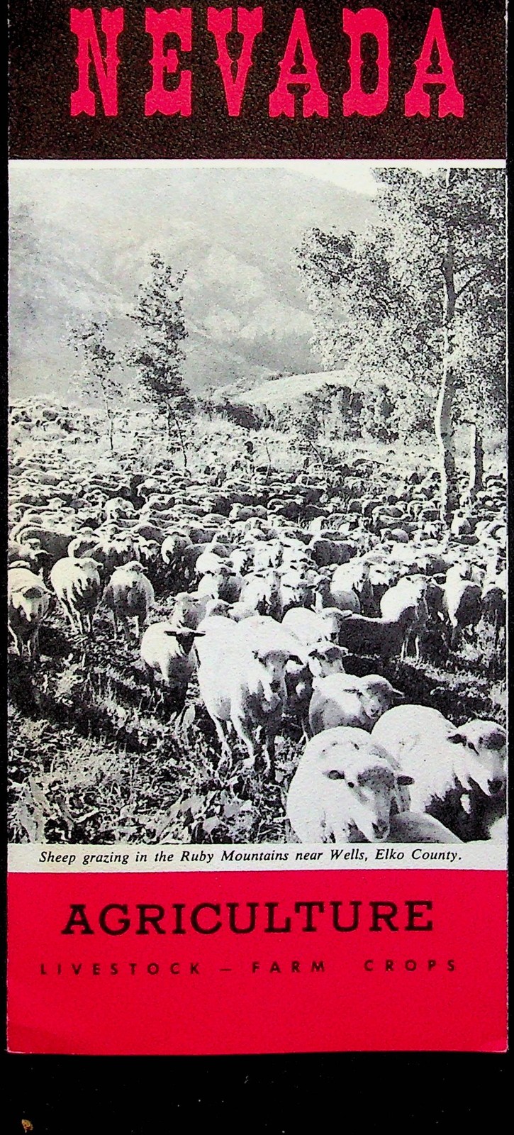 Vintage Nevada Travel Brochure 1967 Agriculture Livestock Farm Crops
