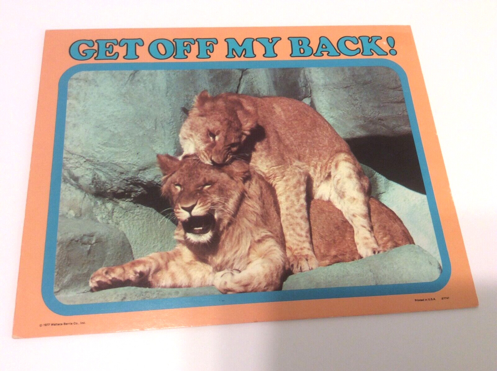 Wallace Berrie VTG 70s “Get Of My Back” Lion Humorous Desk Sign 9”x7”