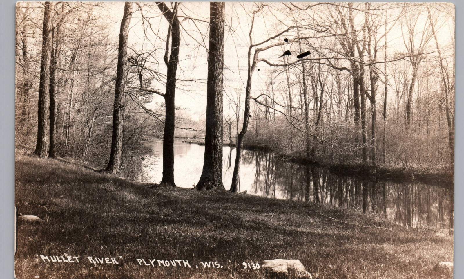 MULLET RIVER c1910 plymouth wi real photo postcard rppc wisconsin antique