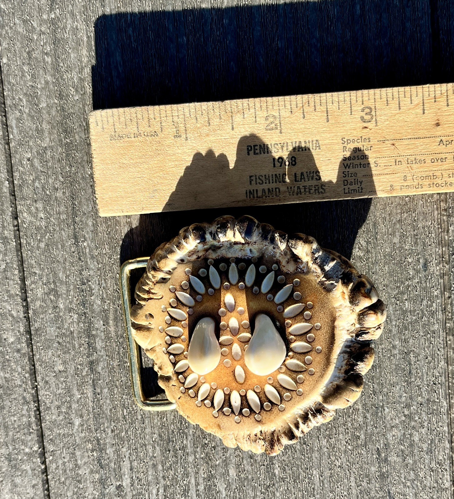 Vintage handmade Belt Buckle made from Elk Antler Burr & 2 Elk Tooth Trophy