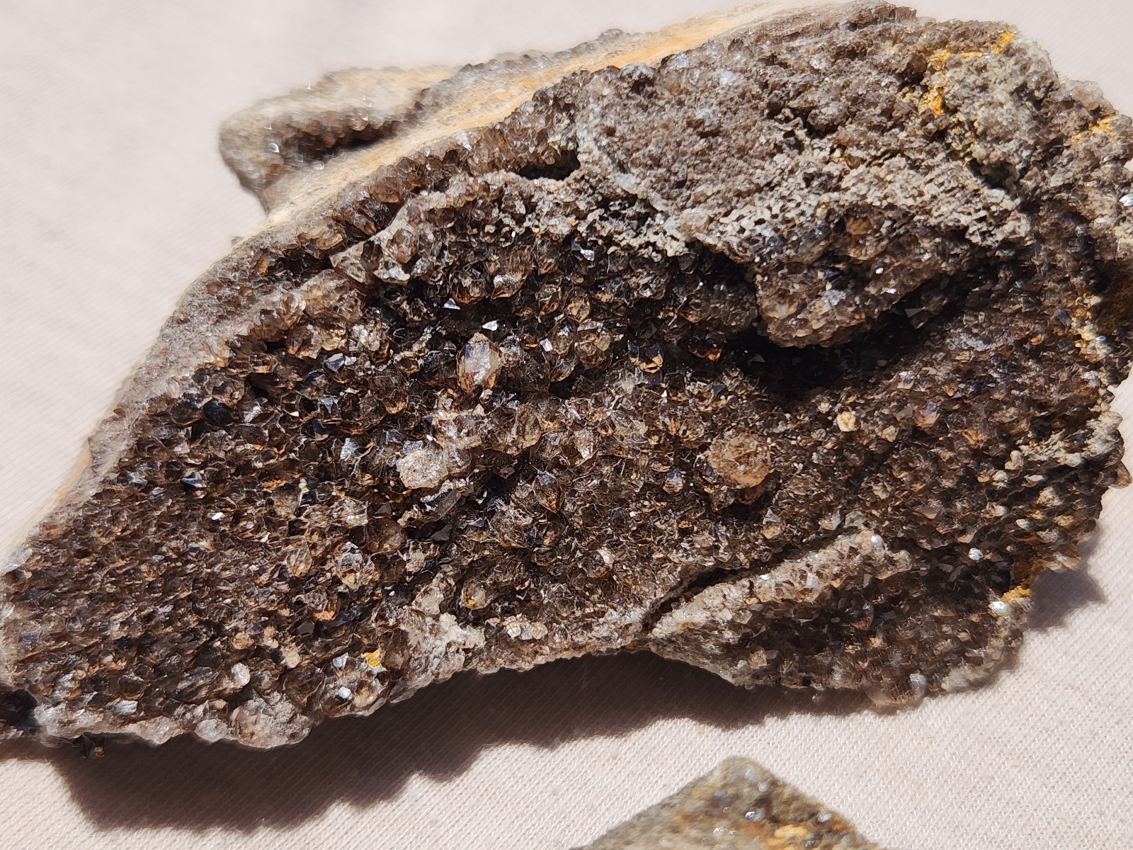6 PIECE LOT Brilliant Petrified Fossil Wood Smoky Quartz Crystal Alabama