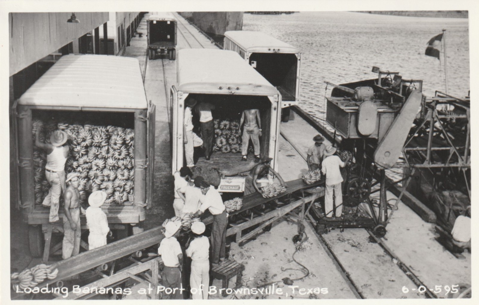 Vintage Postcard RPPC Loading Bananas Port of Brownsville Texas c1955
