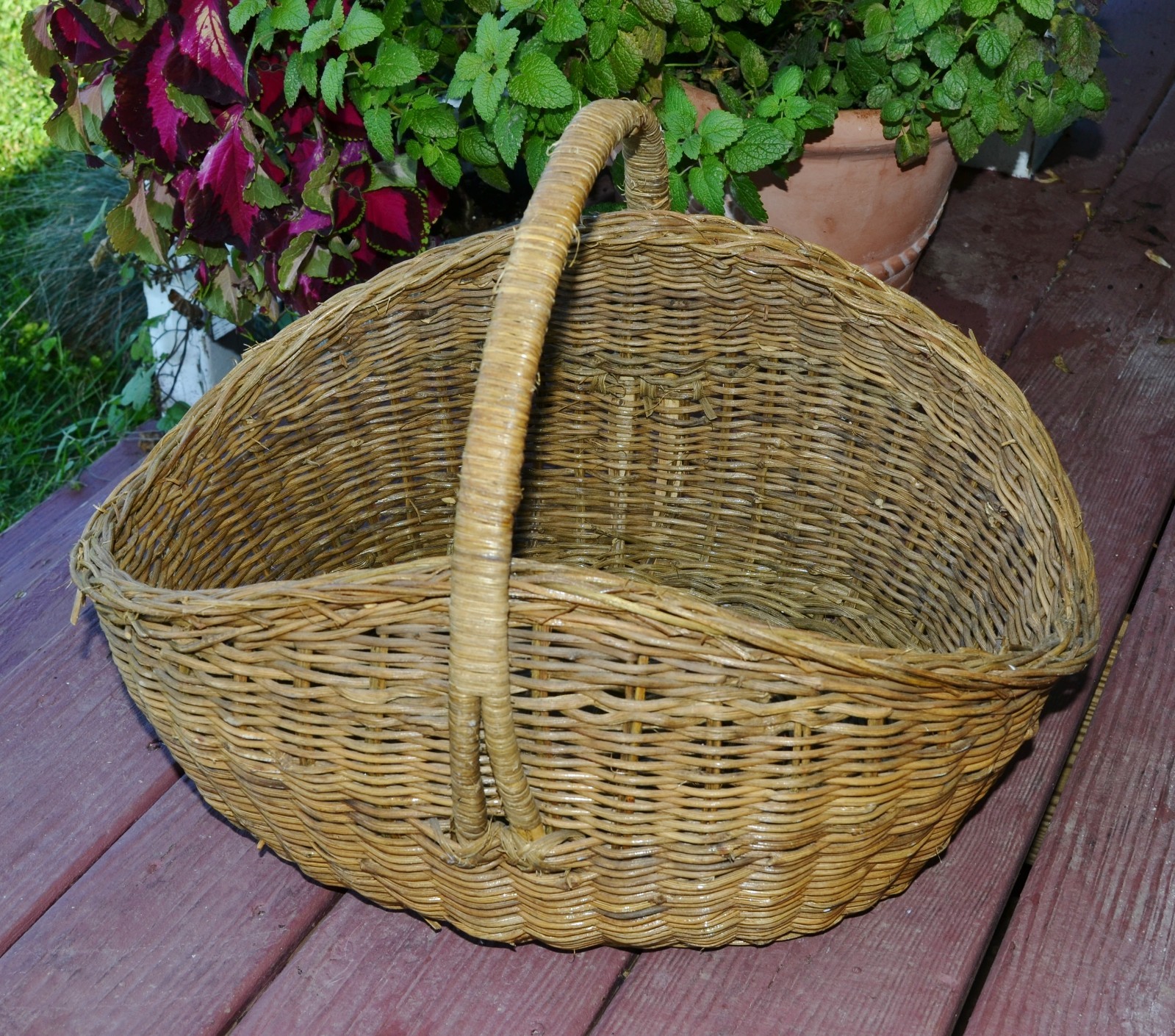 Vintage French Wicker Woven Gathering Basket with Handle Farmhouse Cottage 18”