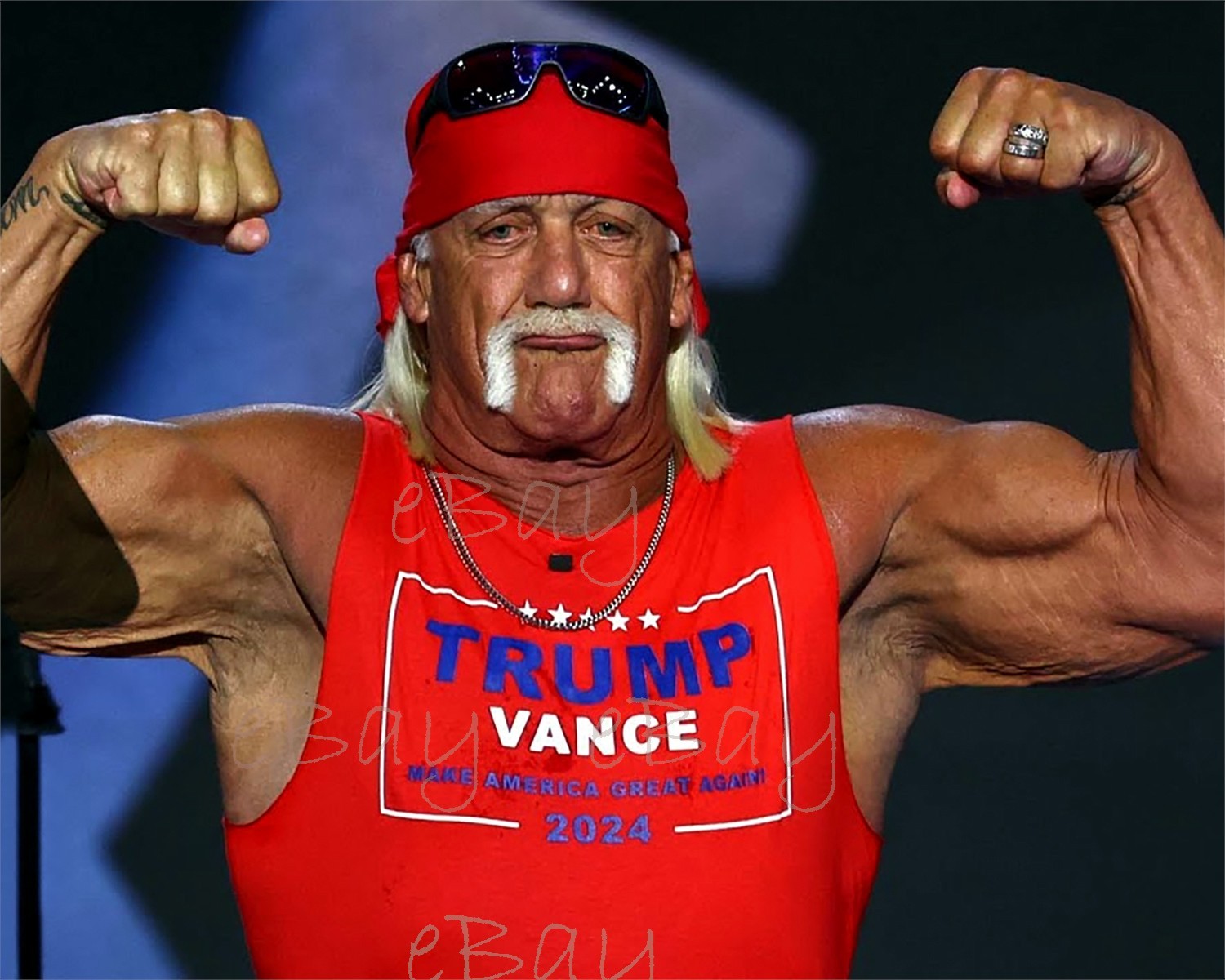 Hulk Hogan at RNC 2024 for President Trump  - 8x10 Photo Reprint