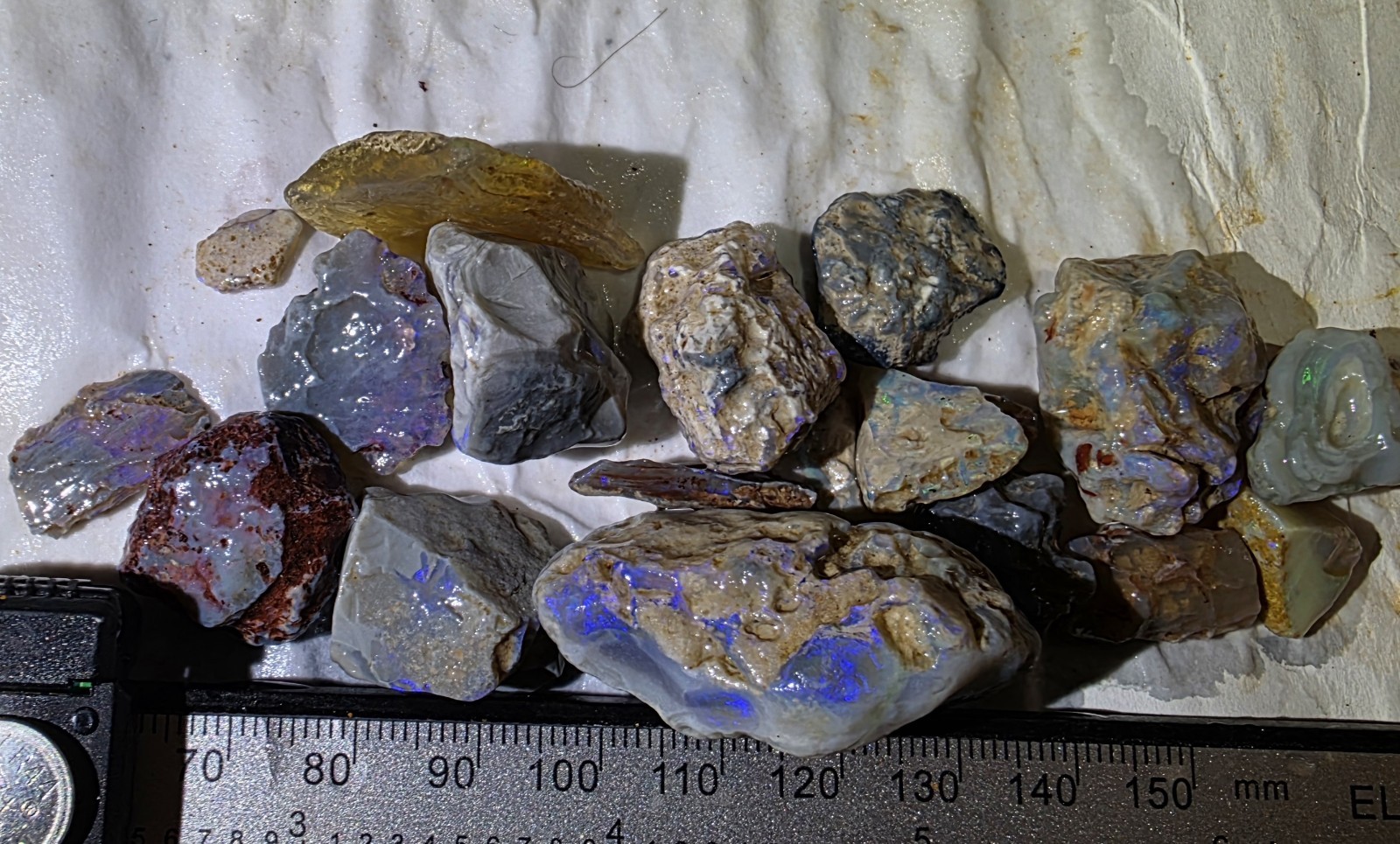 Lightning Ridge Australian Opal Rough Nobbys 270 Cts