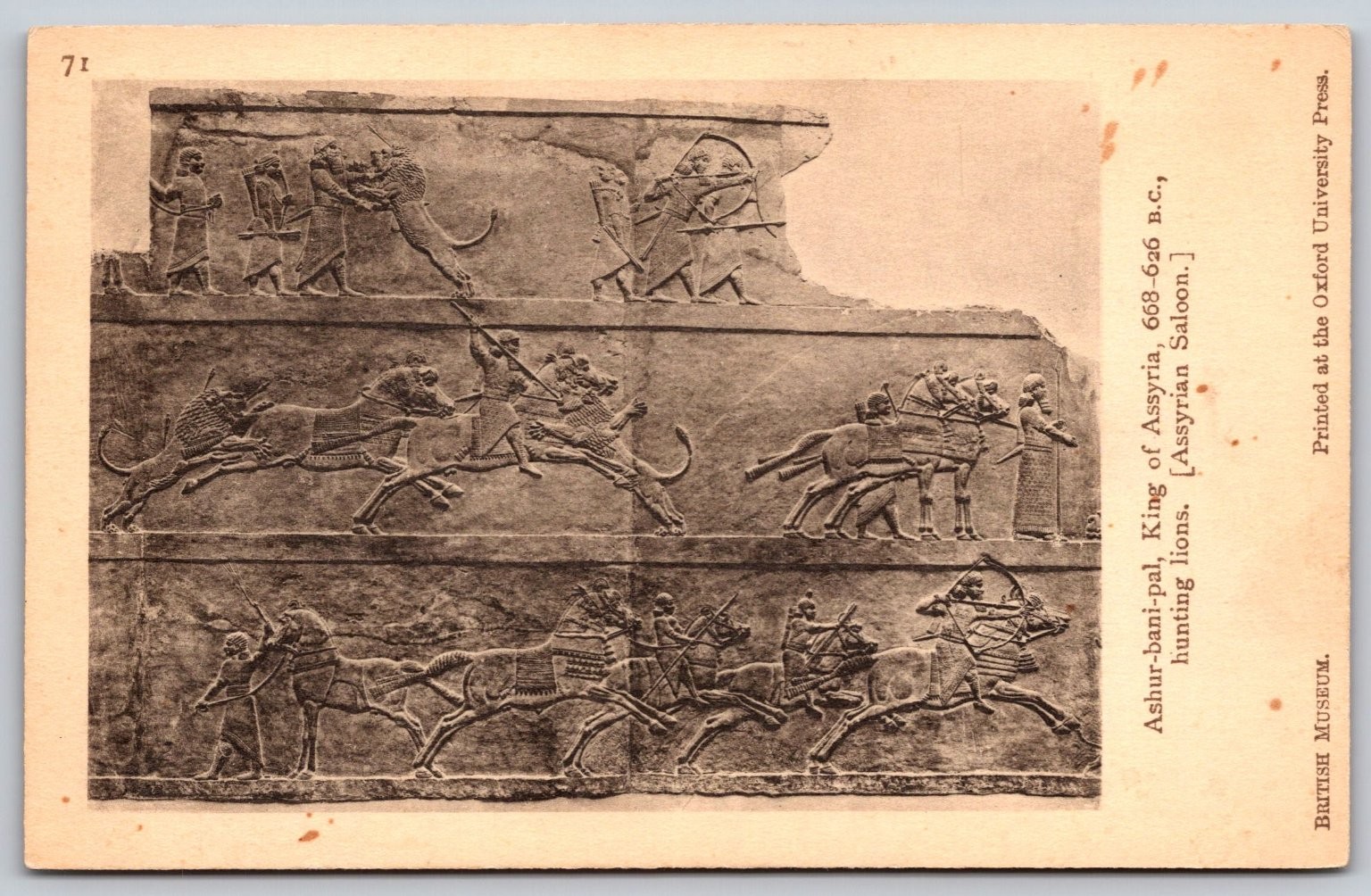 King Ashurbanipal Lion Hunt Assyrian Relief Postcard British Museum OUP F450