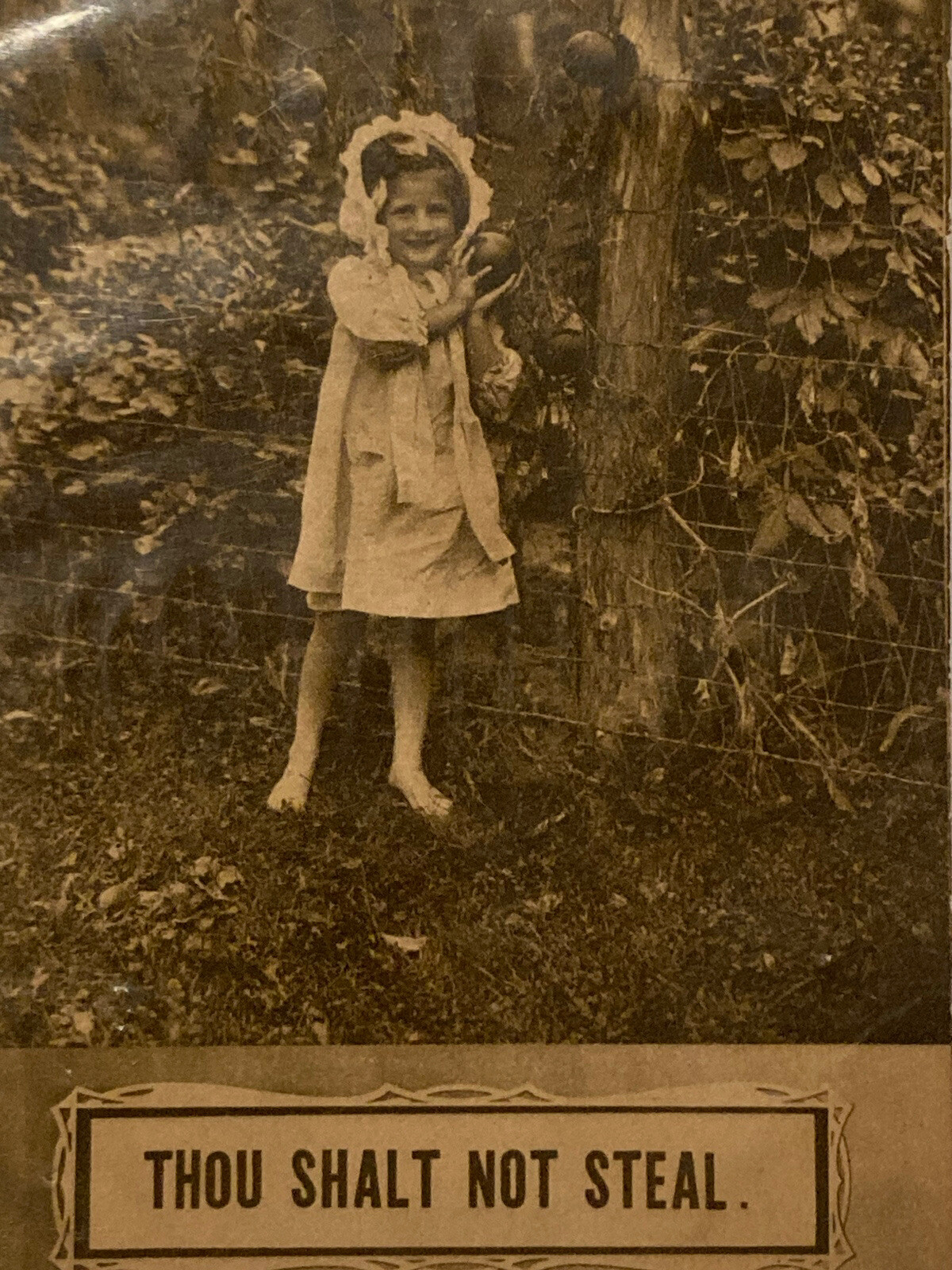 C. 1910 Cute Girl in Bonnet & Dress Stealing Food Thou Shalt Not Steal Postcard