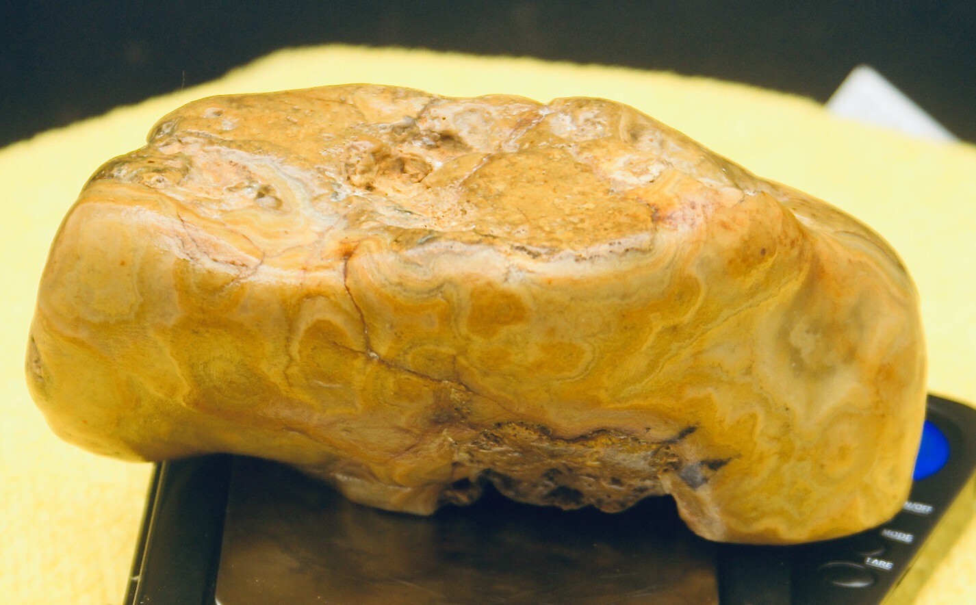Large Crowleys Ridge Agate 19.34 Oz, , + bonus