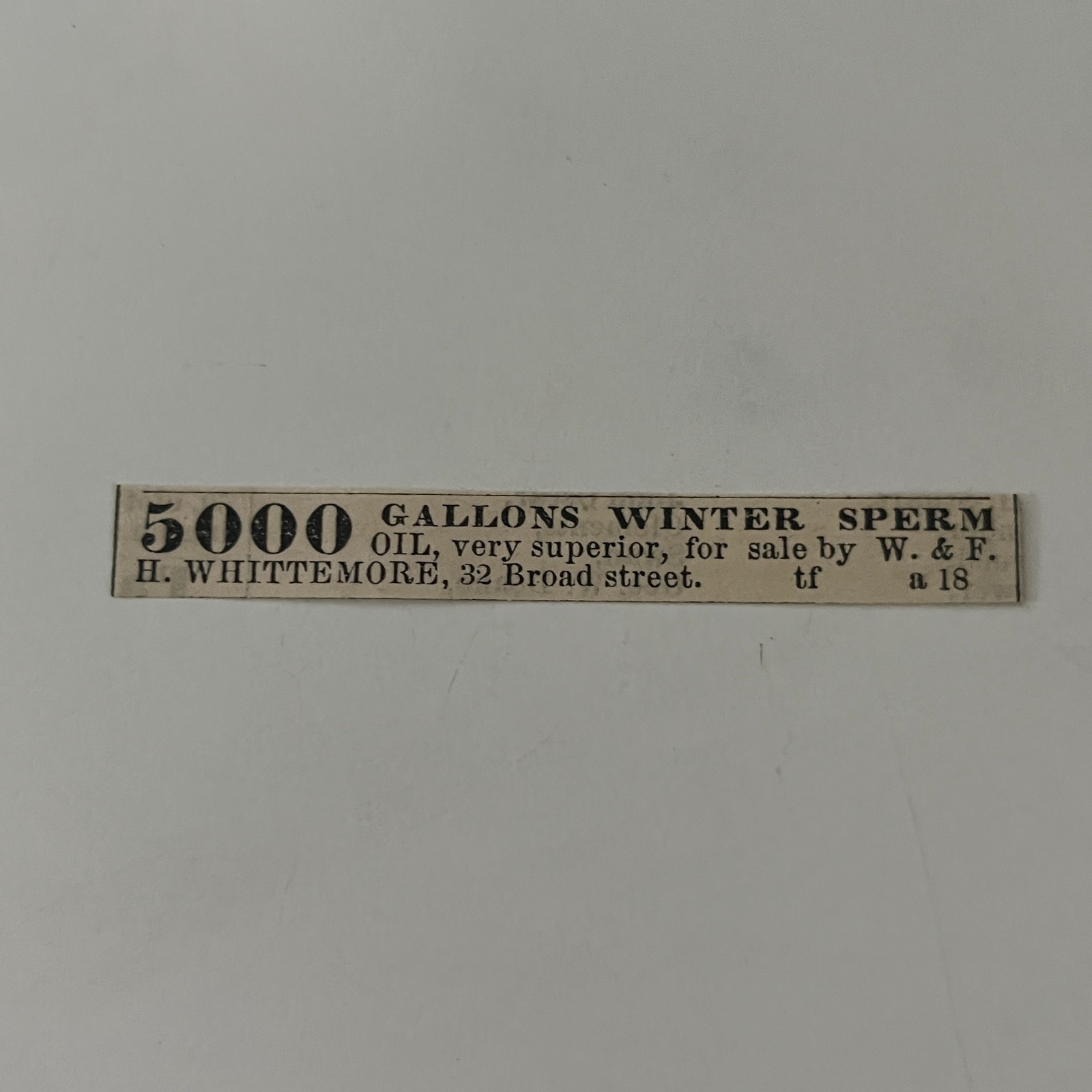 H. Whittemore 5000 Gallons Winter Sperm 1860 Boston Clipping TAJ7-S39